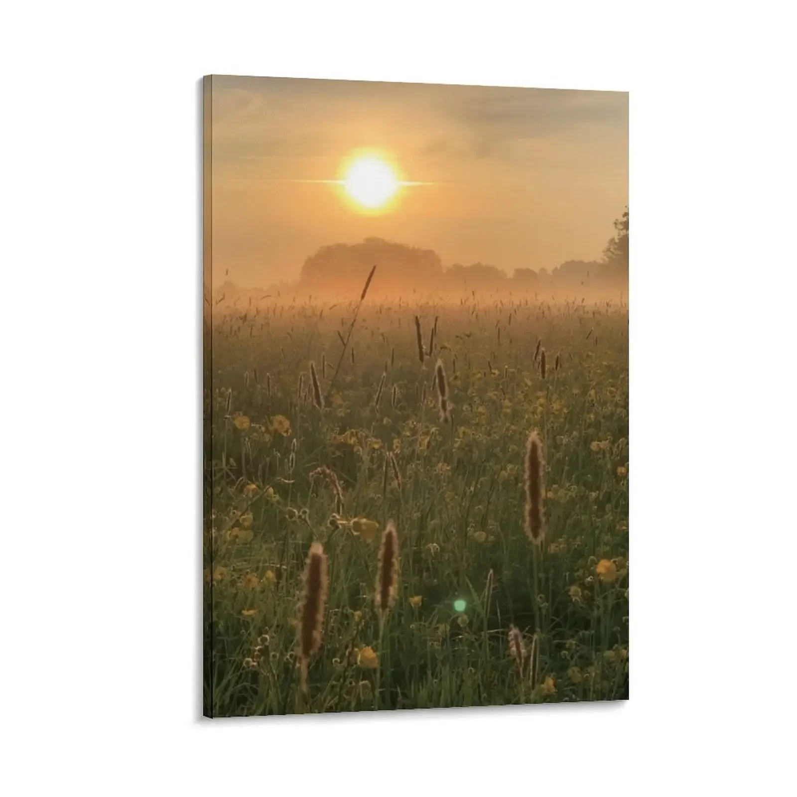 

Sunrise over a misty English Meadow Canvas Painting poster poster aesthetic poster anime room decorations aesthetic
