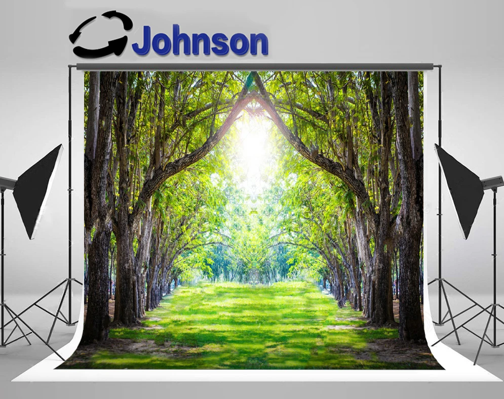 

JOHNSON Green Tunnel Magic Forest Tree backdrop High quality Computer print scenic photo studio background