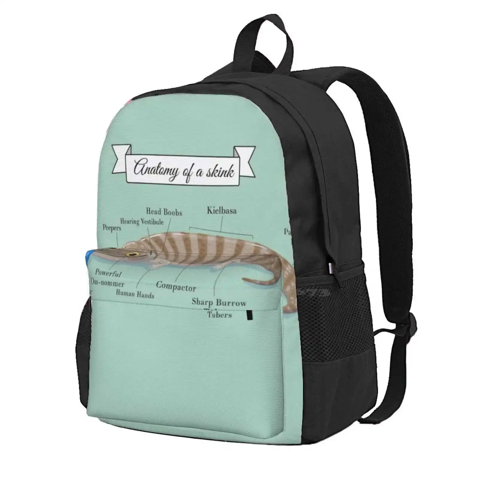 

Anatomy Of A Skink Hot Sale Schoolbag Backpack Fashion Bags Blue Tongue Skink Lizard Reptile