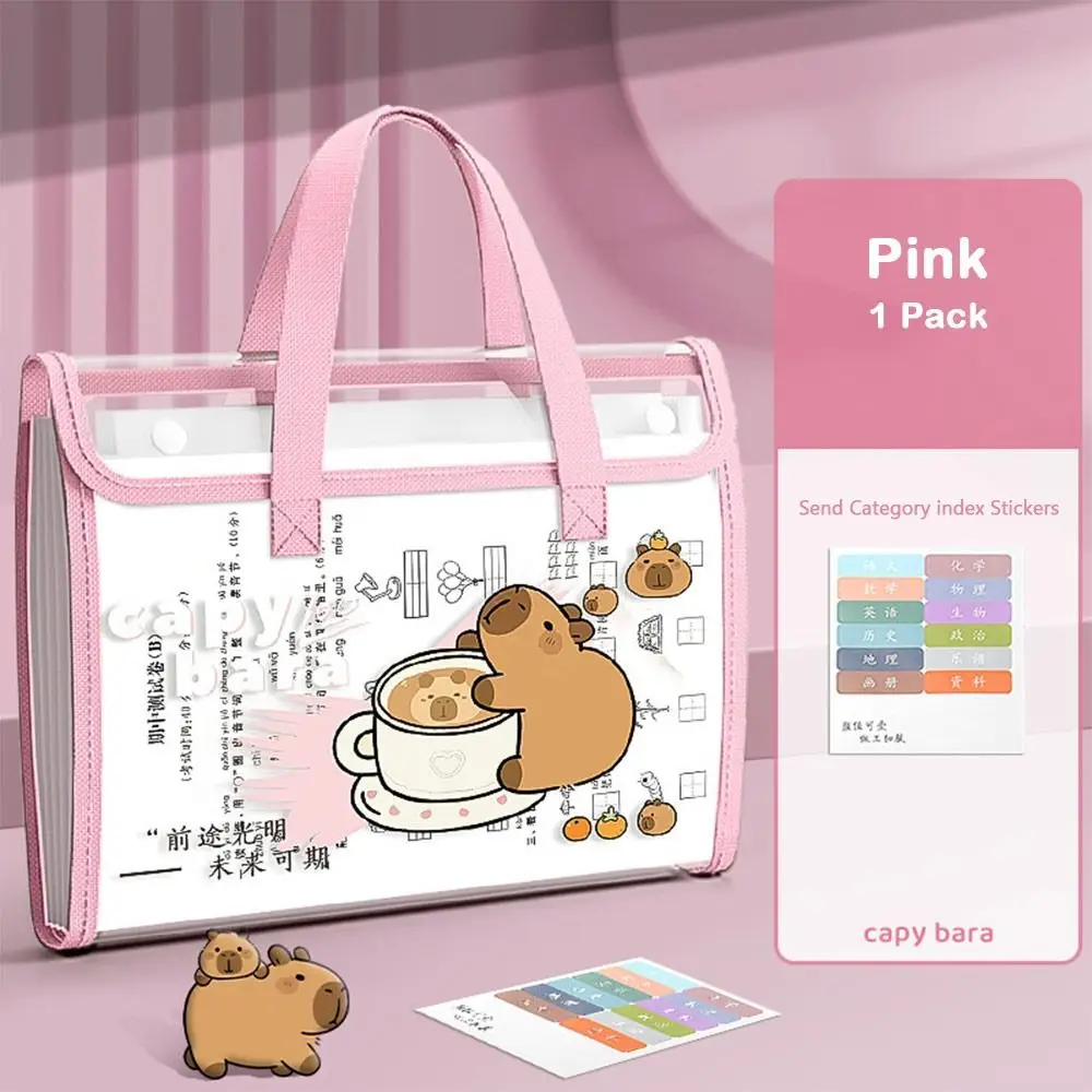 Portable 13 Pockets Capybara Expanding File Bag Waterproof Transparent A4 File Folder Large Capacity Cute Archive Bag Students