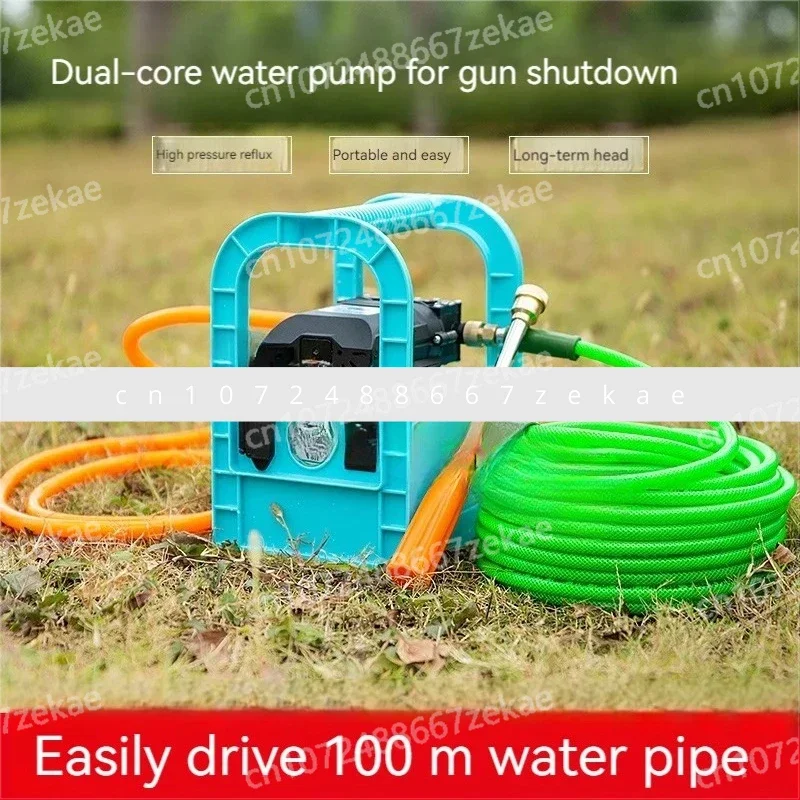 

Spraying Agricultural Garden Tools 12V Rechargeable Water Pump Portable Dual Pump Sprayer Car Wash Irrigation