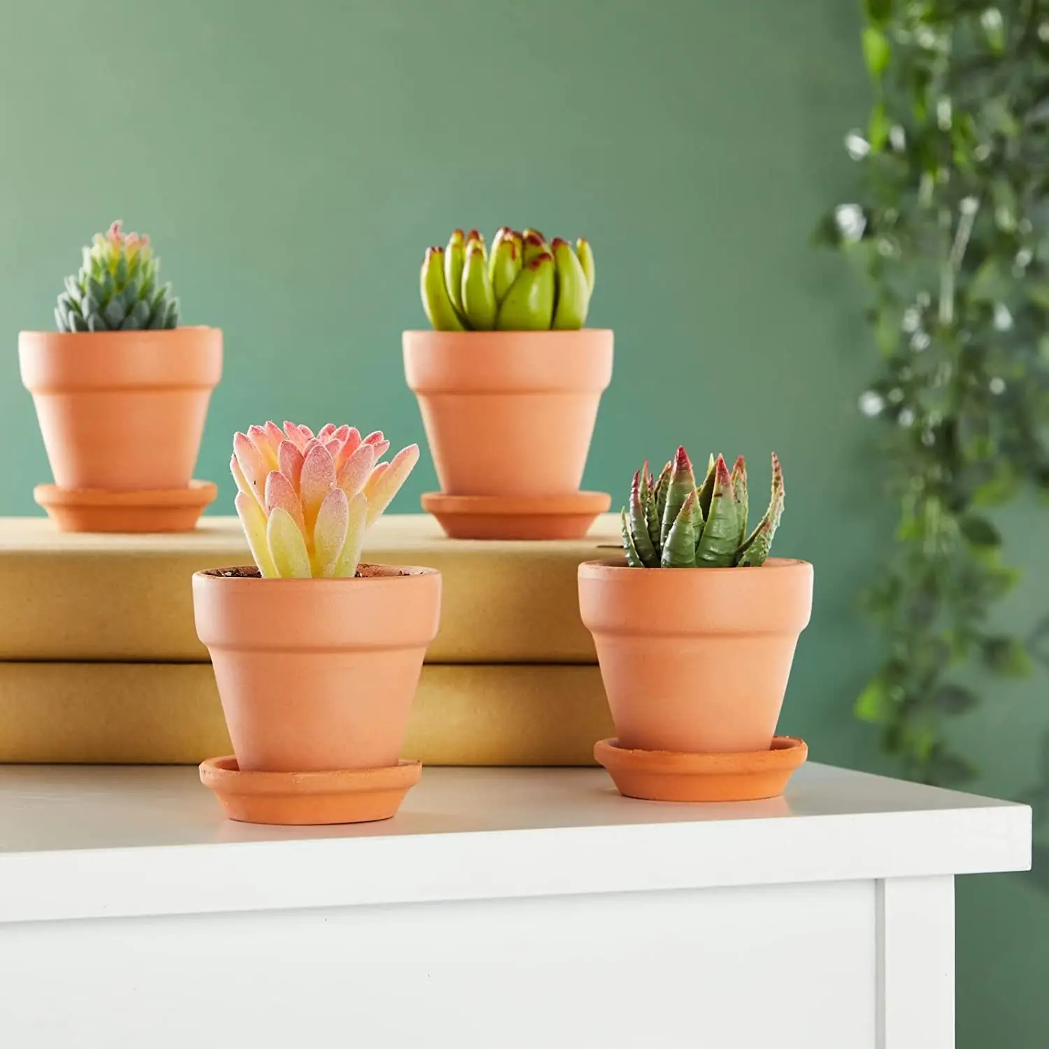 6 Pcs 3.2'' Clay Pots with Saucer Pottery Planter Cactus Flower Pots Succulent Pot with Drainage Hole- Great for Plants,Crafts