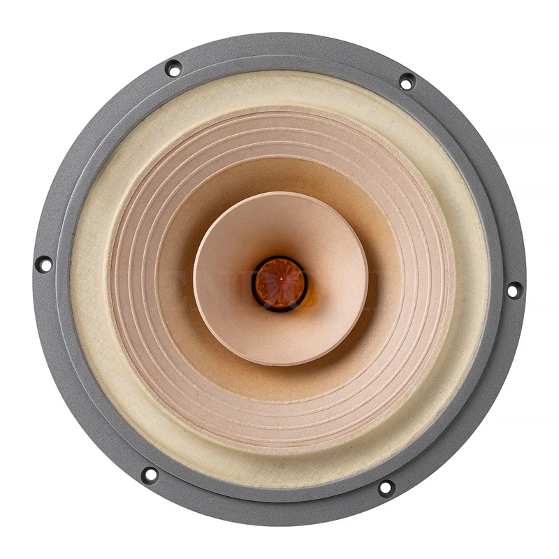 LS-01 Fast-10 10 Inch Full Range Speaker 25W-50W/8Ohm/LII AUDIO FAST-10/crystal-10 FULL/crystal-10/MUSIC-10 1 Pair