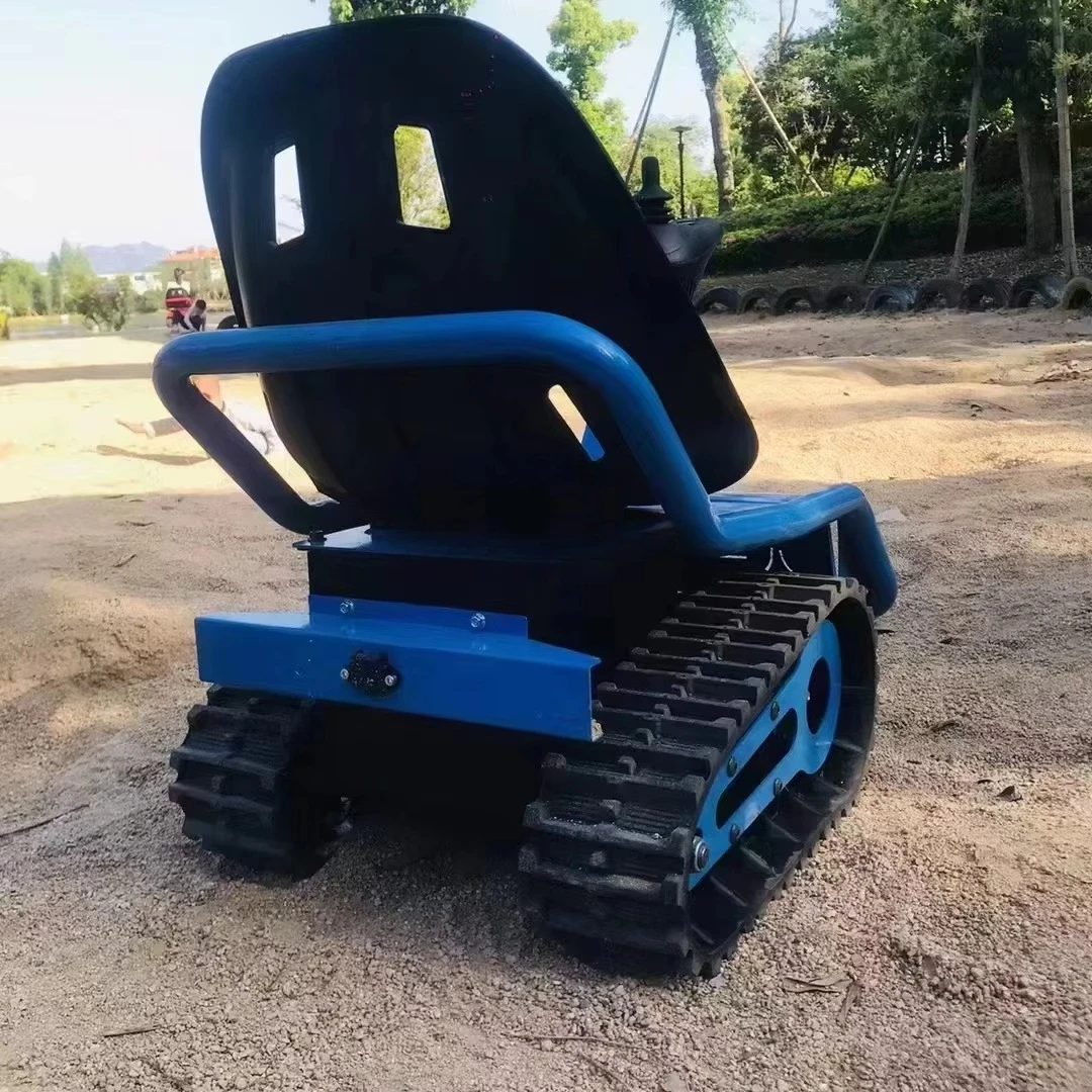 Electric Go Kart for Family Ve - Kids Outdoor Venues 评论和价格