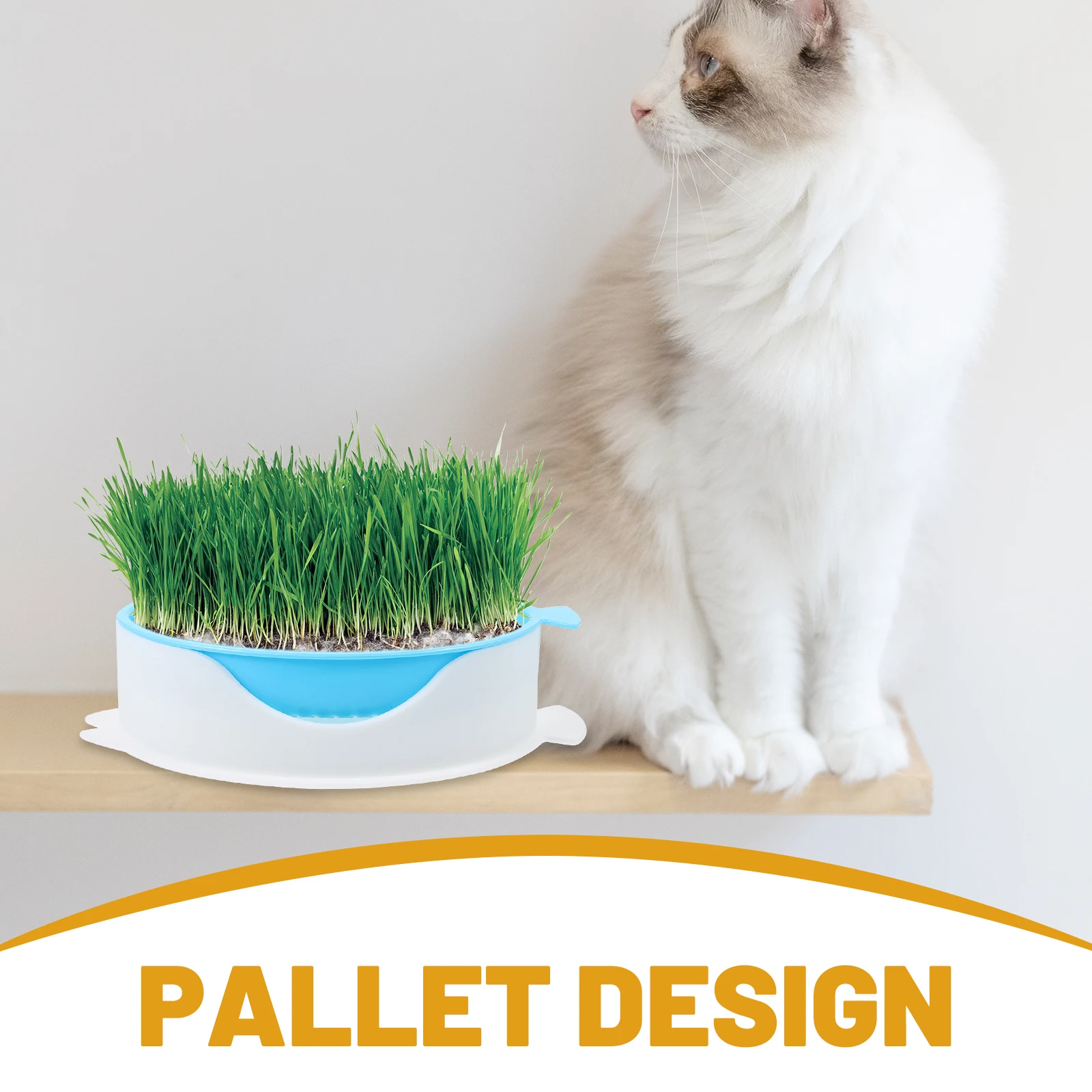 

Cat Grass Sky Cat Plant Soilless Planting Box Blue Plastic Hydroponic System Soilless Box For Pet Cats Household Practical