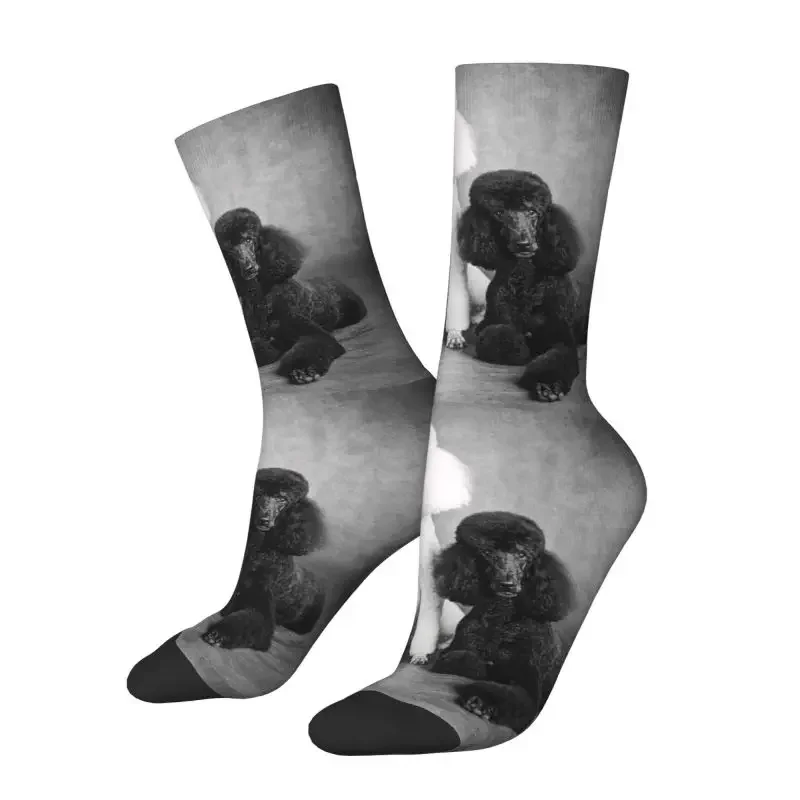 Poodle Dog Mens Crew Socks Unisex Fun 3D Printing Pudel Caniche Dress Socks