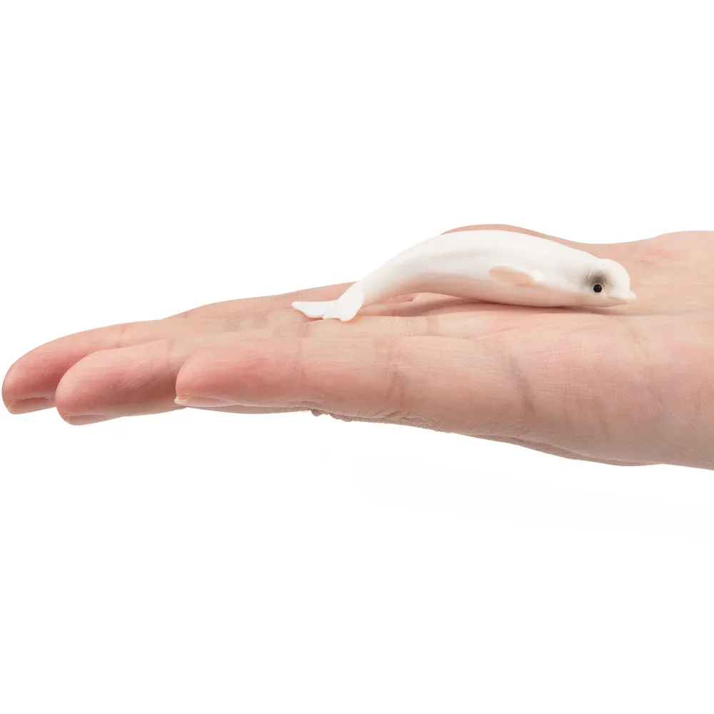 Toymany محاكاة بيلوغا المحيط نماذج للحيوانات لعبة شخصيات صغيرة دمى عمل التماثيل لعب الأطفال هدية كعكة الديكور #2