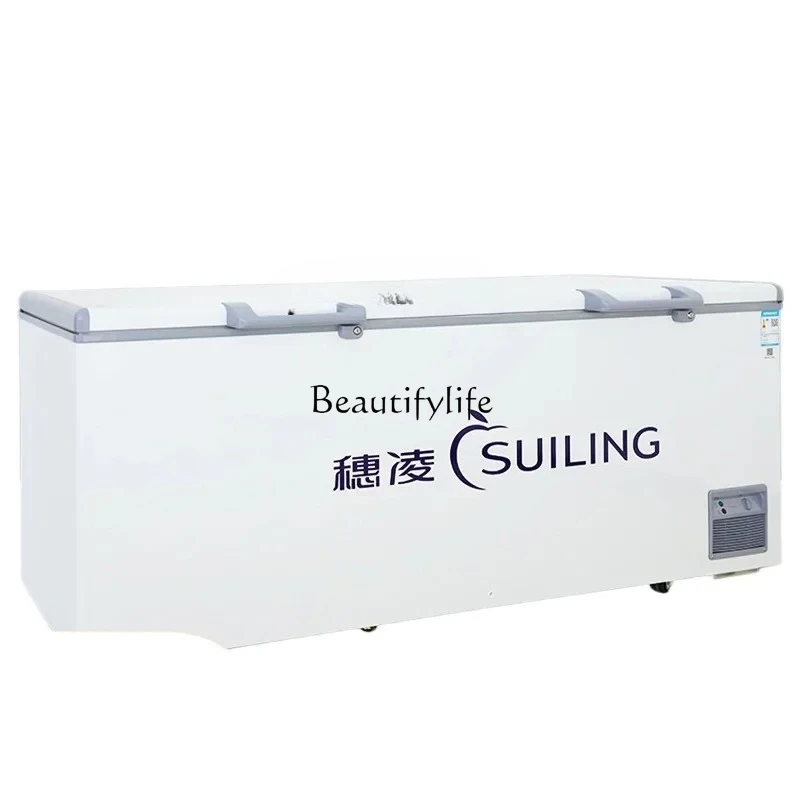 

congelatore frigorifero commerciale di grande capacità congelatore a temperatura singola con efficienza energetica di prima c