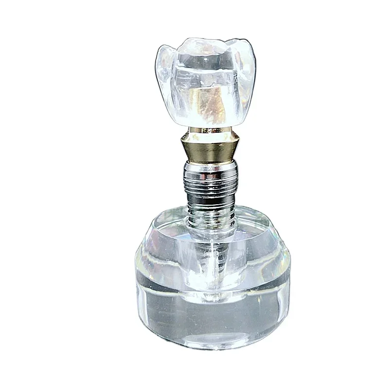 Dentals oral teaching model, crystal transparent model practice implants model
