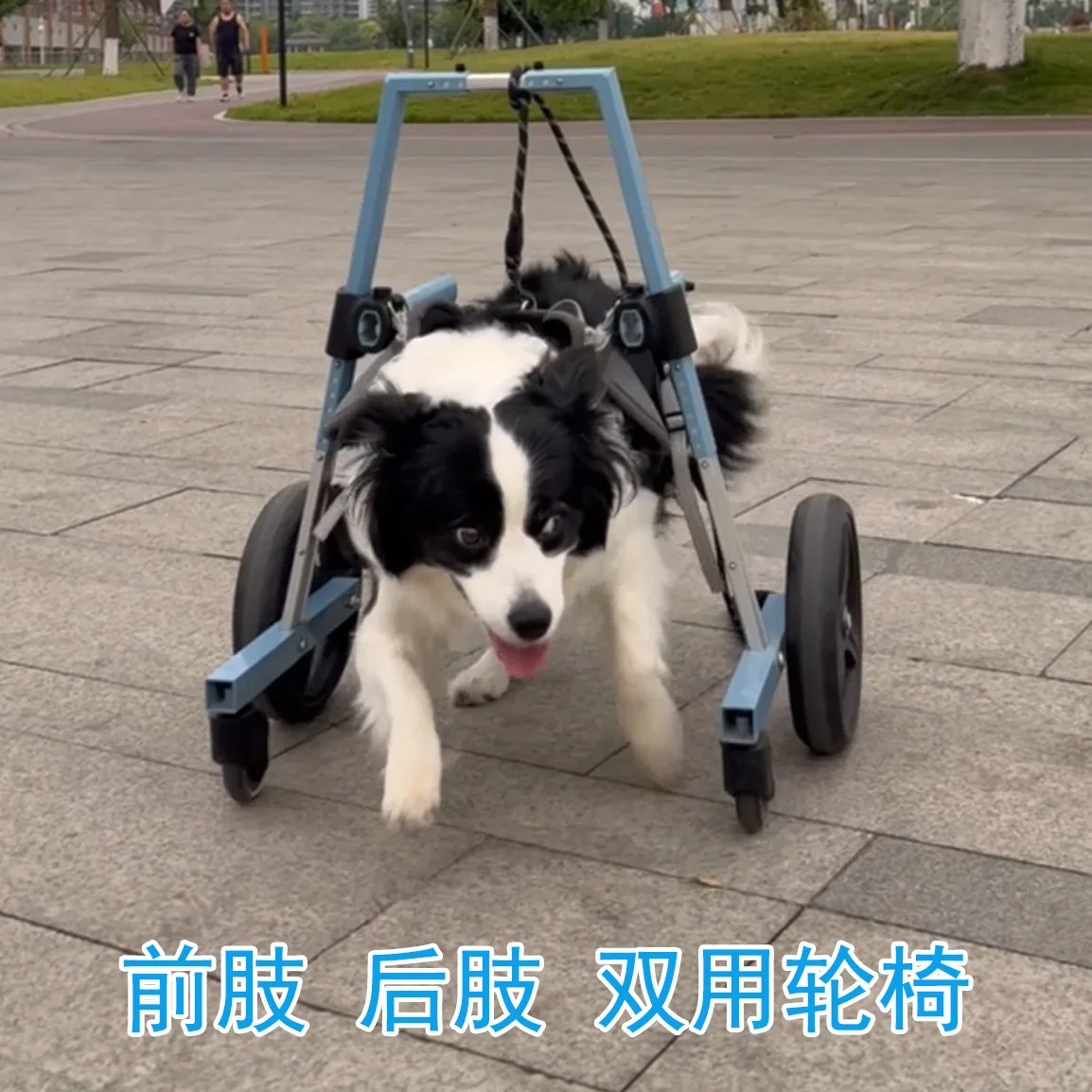 Pet forelimb wheelchair dog disability walking aid paralyzed hind leg standing bracket elderly dog walker