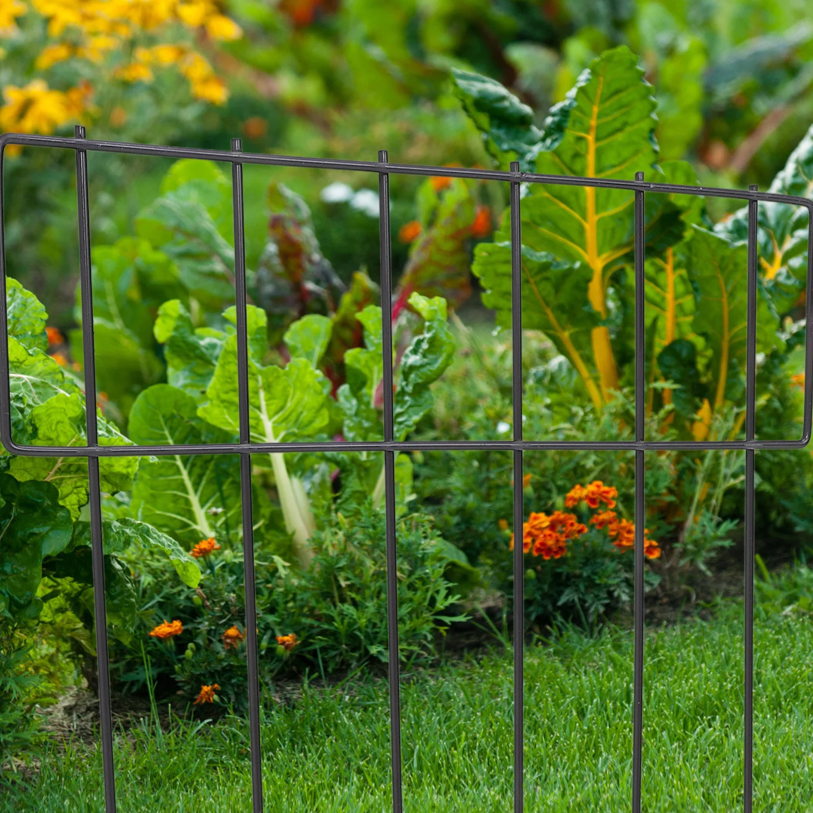 

5Pcs Garden Animal Barrier Fence Iron Mesh No Dig Durable Outdoor Lawn Edging Border Fence Iron Fencing DIY Fencing