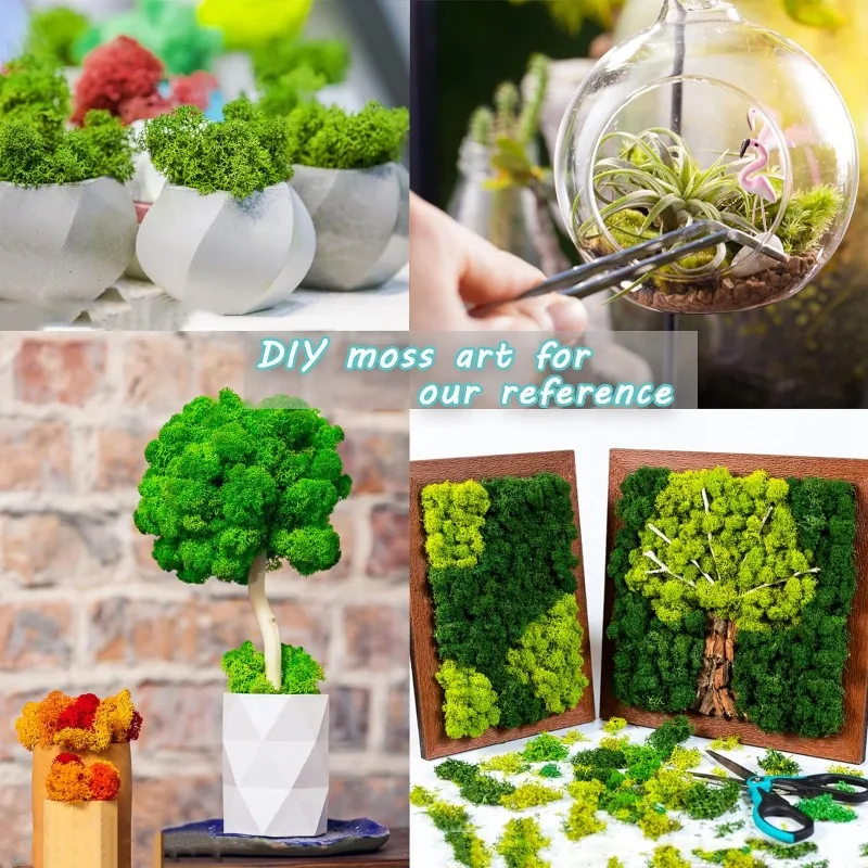 60/300g Preserved Moss Artificial Green Plants Eternal Life Moss Grass Home Garden Decoration Landscape Fake Flower DIY Crafts