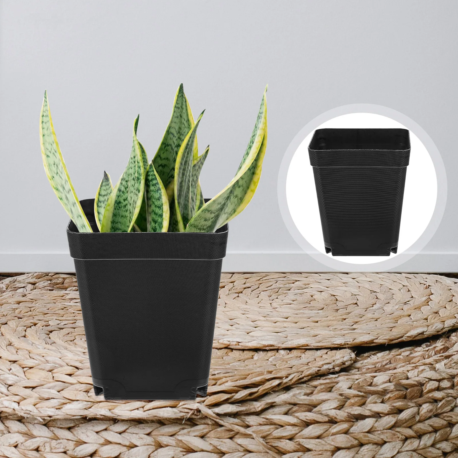 50 قطعة أواني الزهور البلاستيك الحضانة زراعة الأواني مع ثقوب الصرف شرفة بونساي زارع حديقة توريد نبات عصاري #3