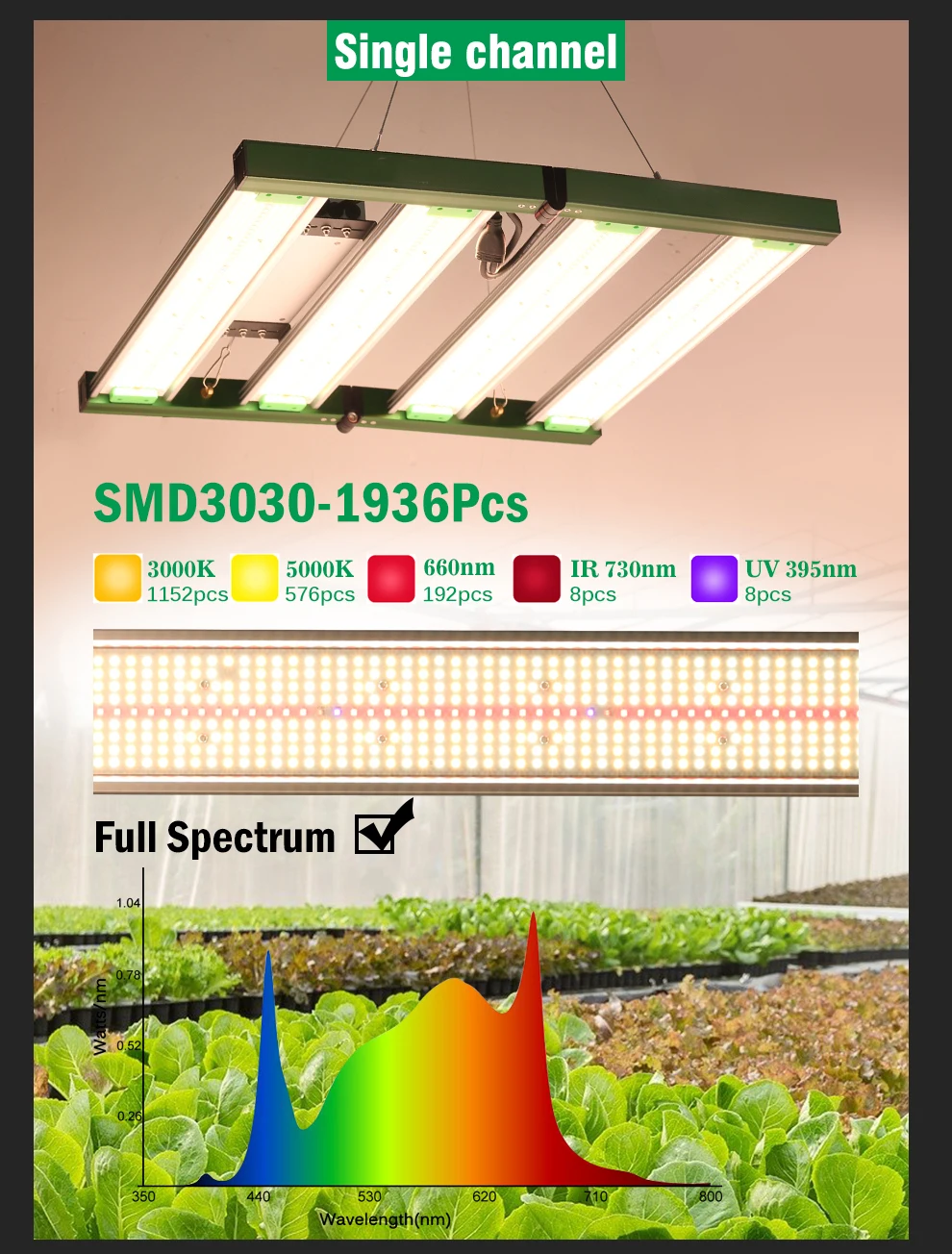 Vollspektrum-LED-Pflanzenlampe SMD3030 400W 650W 800W 1200W 3000K 5000K Rot IR UV Licht 1650Umol/ ㎡ Pflanzenlampe mit hohem PPFD für Pflanzen – Detail 8