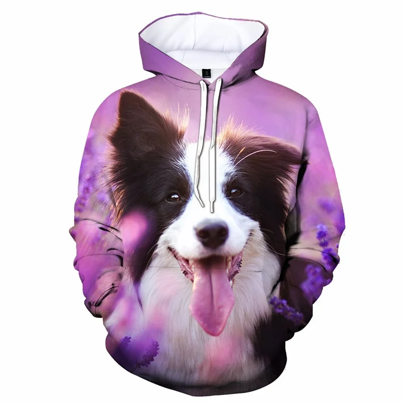 Border Collie Graphics Hoodie Animal Dog 3d Printed Hot Sale Sweatshirt Pullover Spring Autumn Hoodies Children Men Clothing