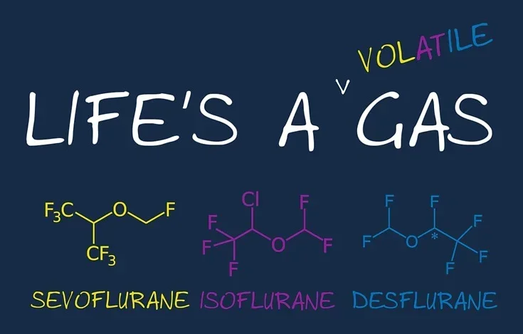 Life is a Volatile Gas T-Shirt 100% Cotton O-Neck Summer Short Sleeve Casual Mens T-shirt Size S-3XL