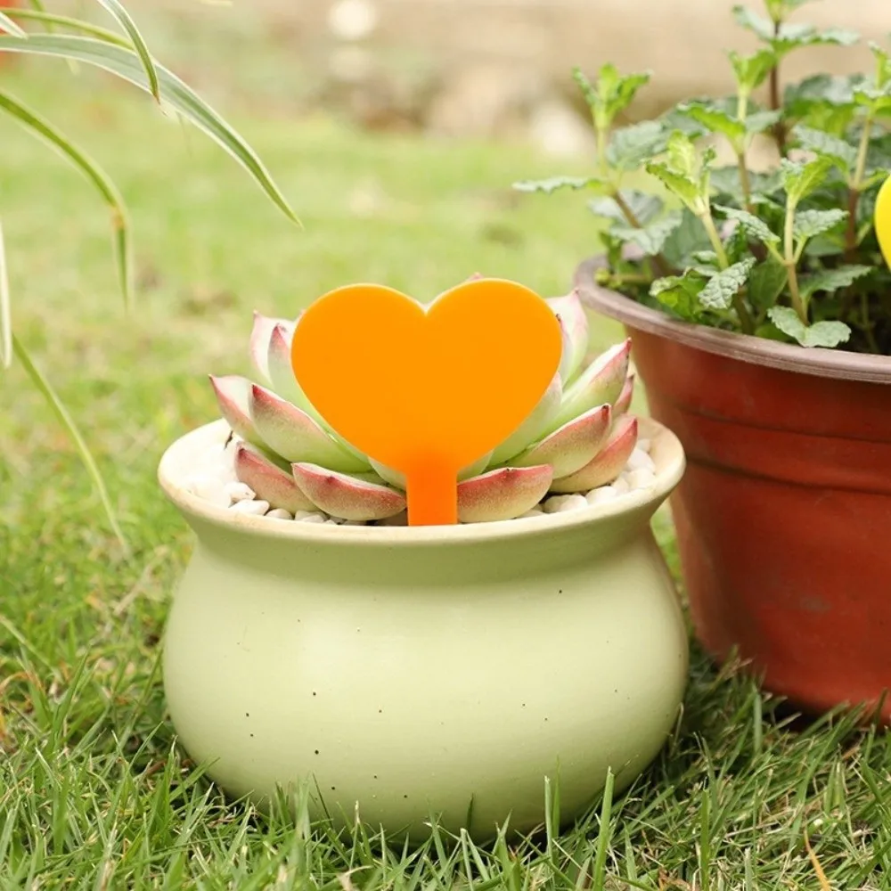 

100PCS Waterproof Plant Labels Tags Reusable Durable Plant Growth Label Heart Shaped Succulent Signage Succulents Identification