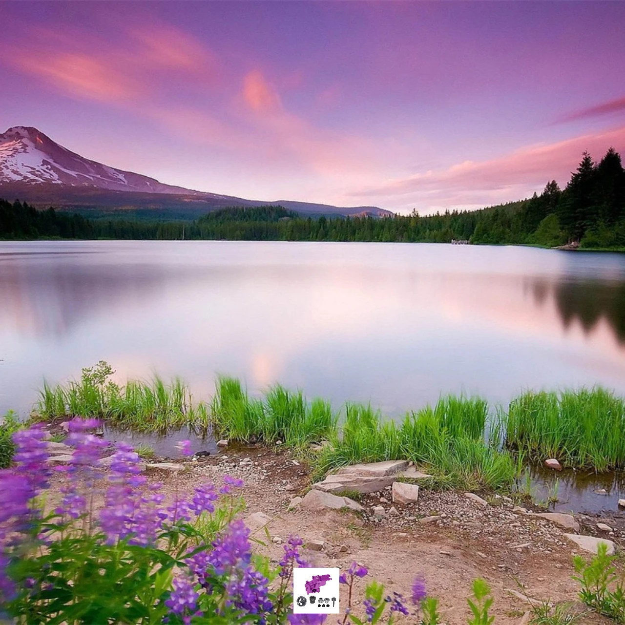 

Корпус коробки передач GPM 7075 Alu + комплект стальных шестерен 40 куб.см для LOSI 1/24 Micro-B