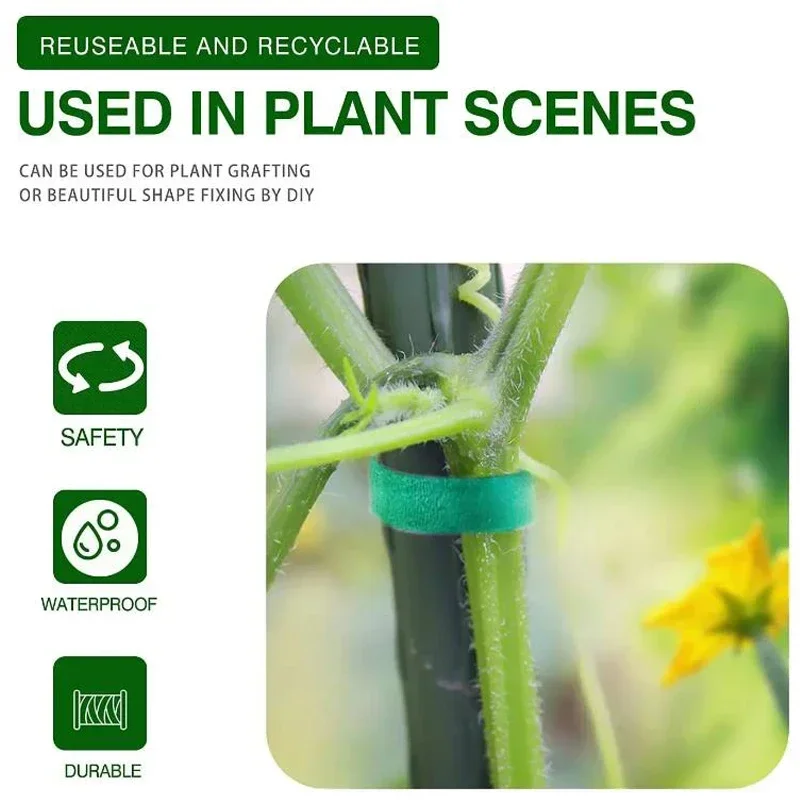 Green Nylon Plant Support Bandage Adjustable Hook & Loop Self-Adhesive Fastener Tape Reusable Vine Fixing Clips for Gardening
