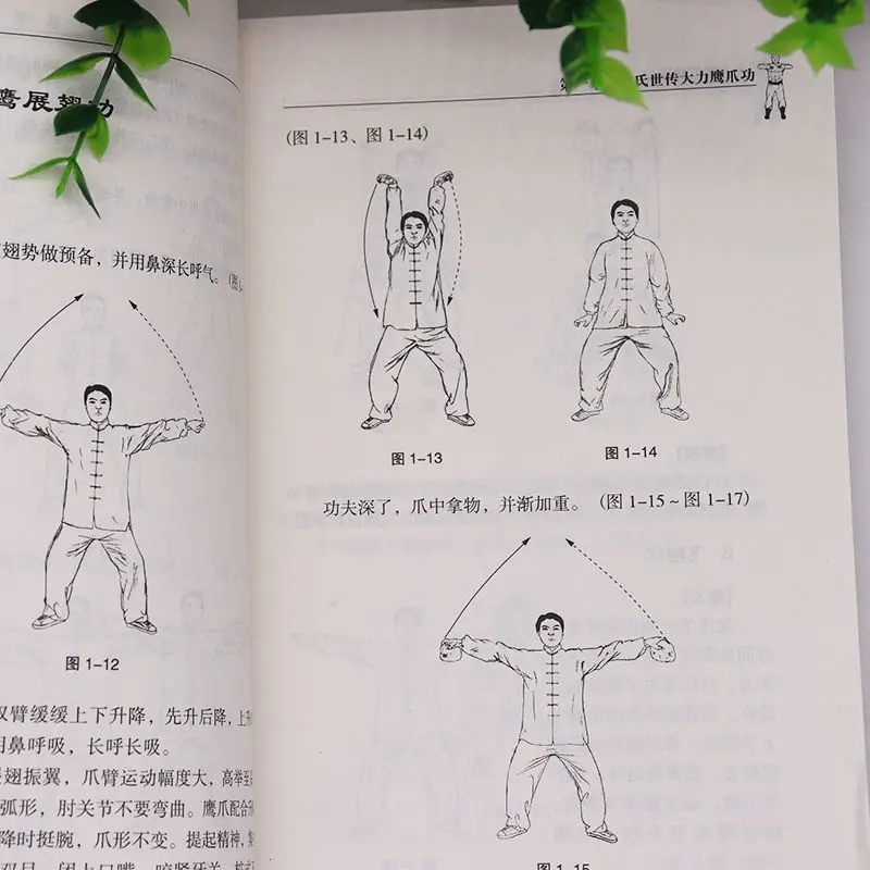 China Shaolin Temple Kung Fu Martial Art Powerful Eagle Claw Skill Book