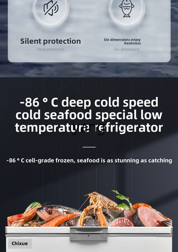 فريزر المأكولات البحرية LMM سلبي 60 درجة فريزر أفقي منزلي ذو سعة كبيرة