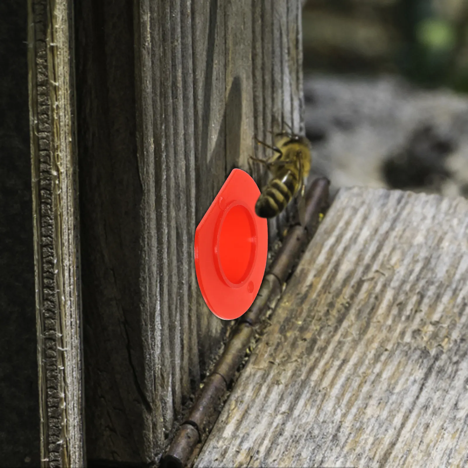 

50 шт. пластиковых вентиляционных конусов для ульев, дверцы-вентиляторы для пчелиных гнезд, инструмент для сбора меда, принадлежности для пчеловодства