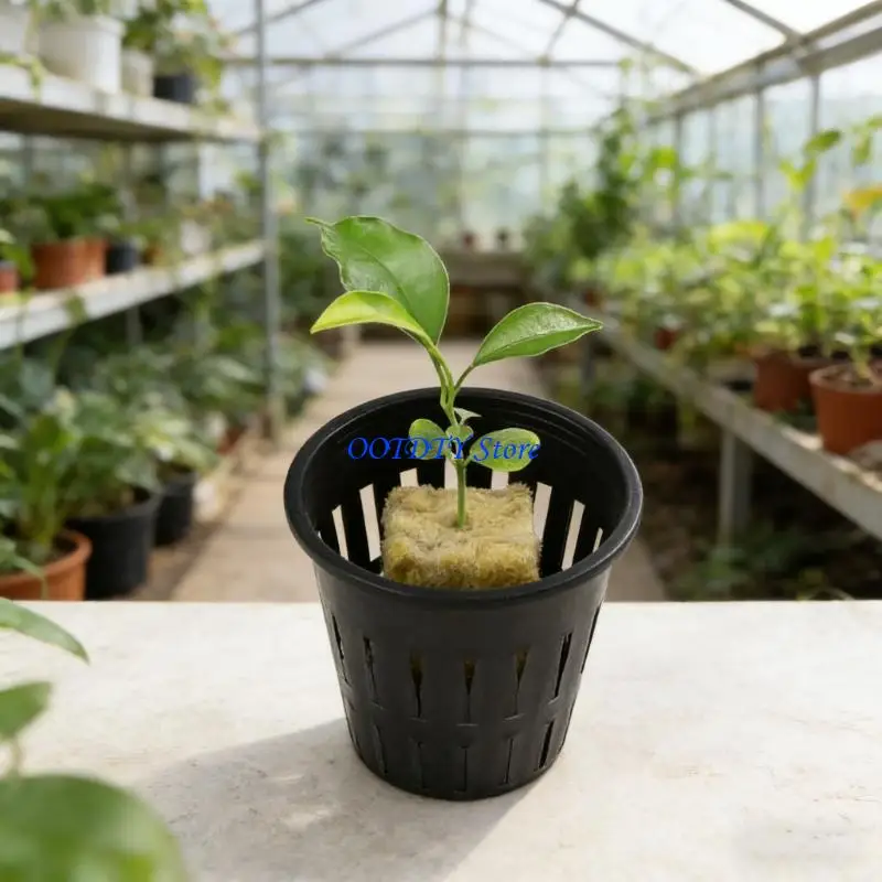 367A MultiPurpose Rock Wool Slabs Supporting Root Development in Greenhouses and Balcony Gardens