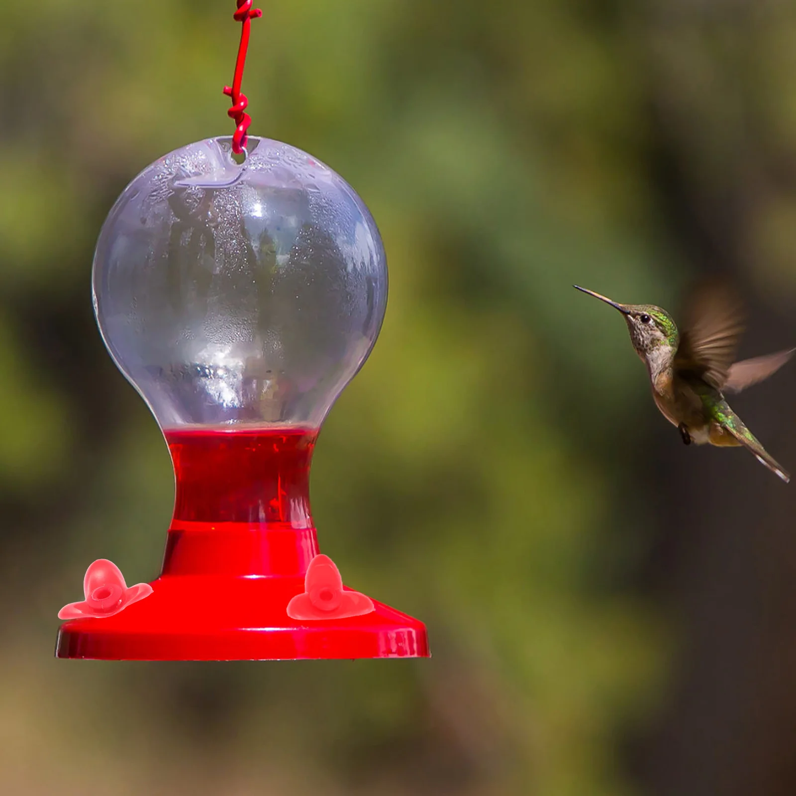 

12Pcs Hummingbird Feeder Replacement Flower Ports Durable Plastic Bird Feeder Flowers Outdoor Feeding Tools Bird Feeding Tools