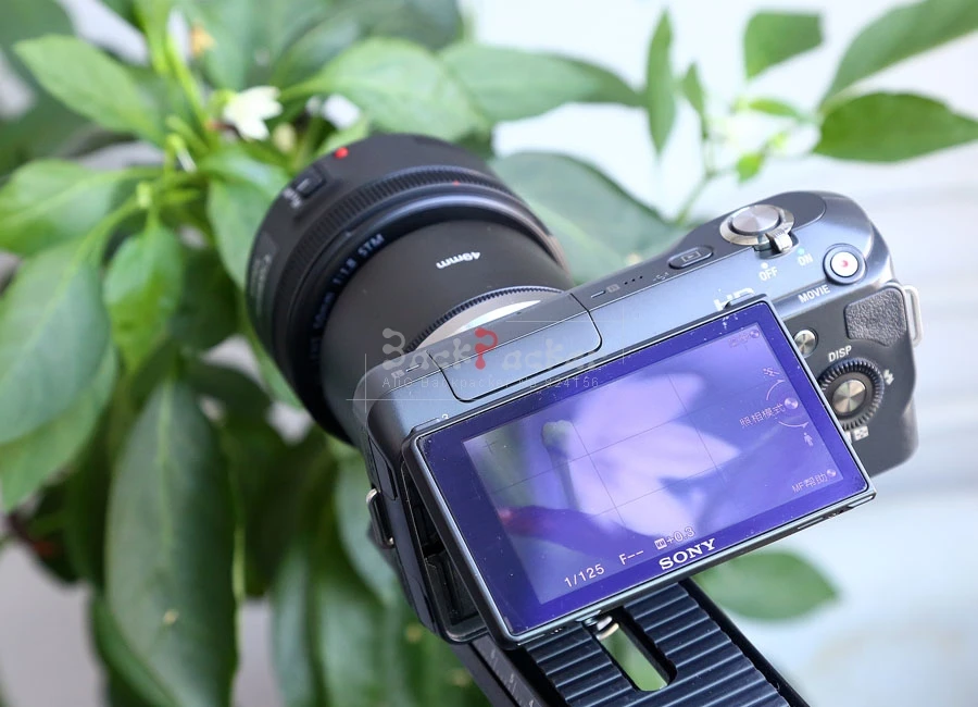 เลนส์กล้องถ่ายรูปย้อนกลับ Macro หลอดขยาย NEX 49/52/55/58/62/67/72มม.สำหรับ Sony A6300 A6500 A5100 A7S A7 II A7R II NEX5