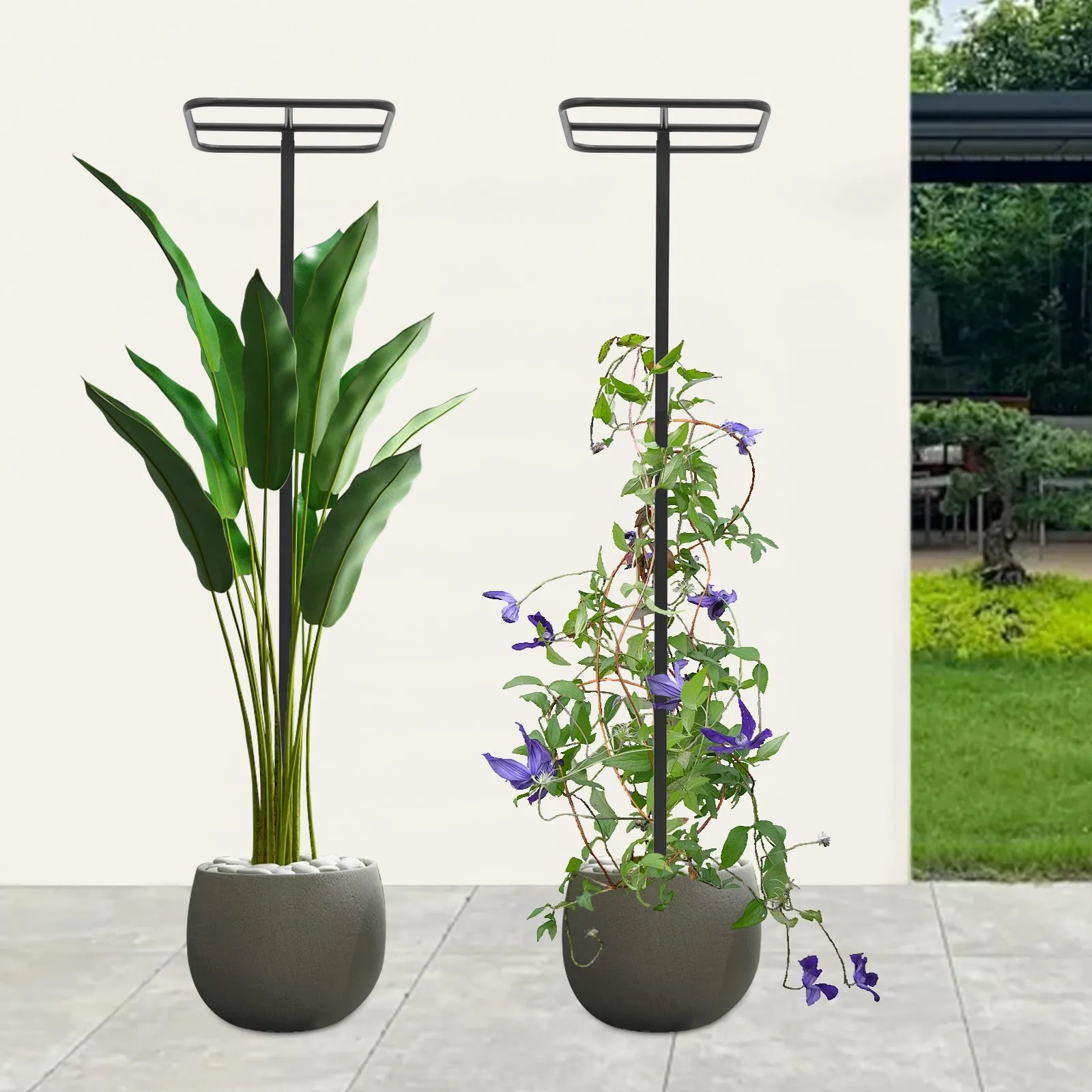 

Two Climbing Supports For Garden Plants With Metal Corrosion Resistance Easy To Install Adjustable Climbing Frame