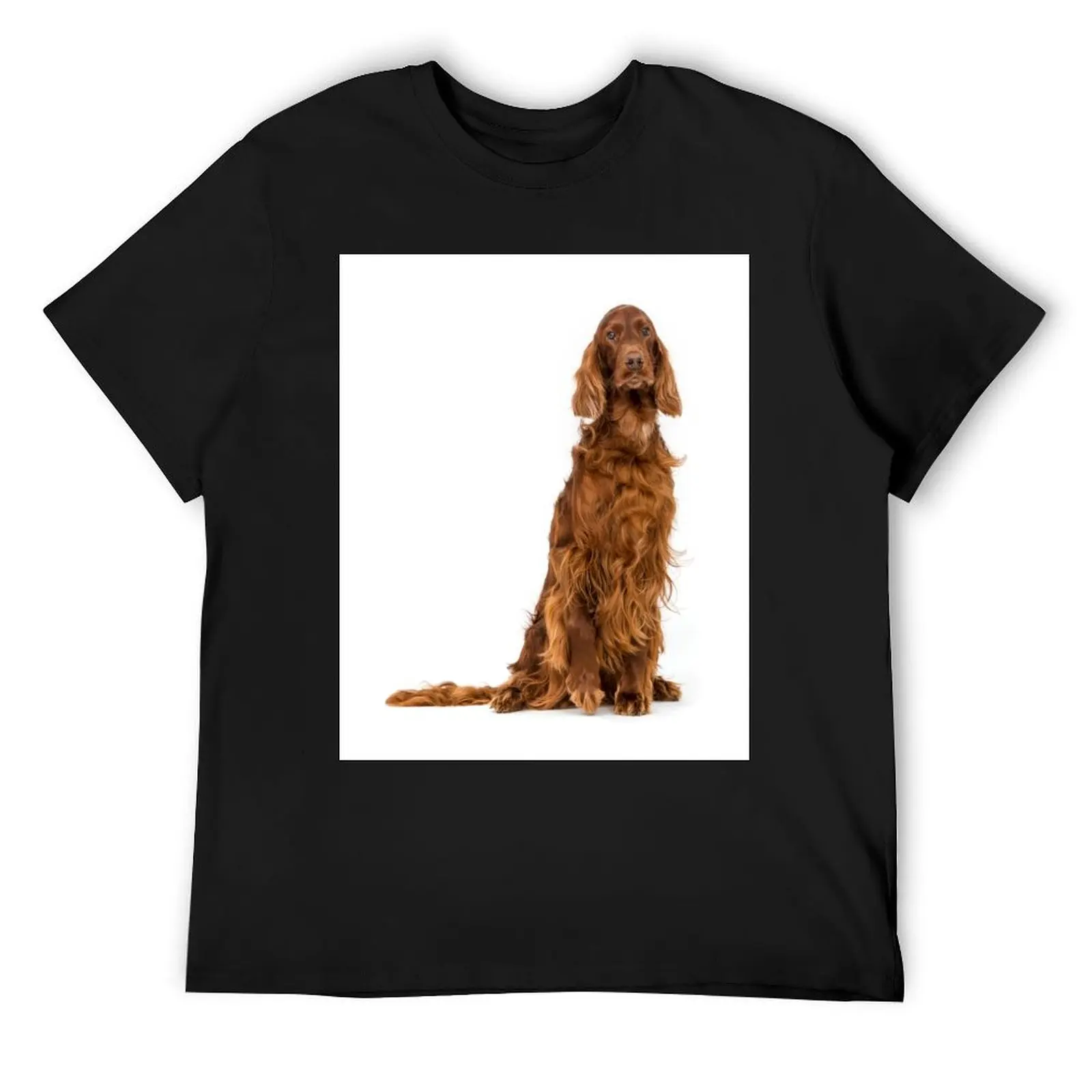 Portrait of Irish Setter sitting T-Shirt oversized korean fashion outfits for men