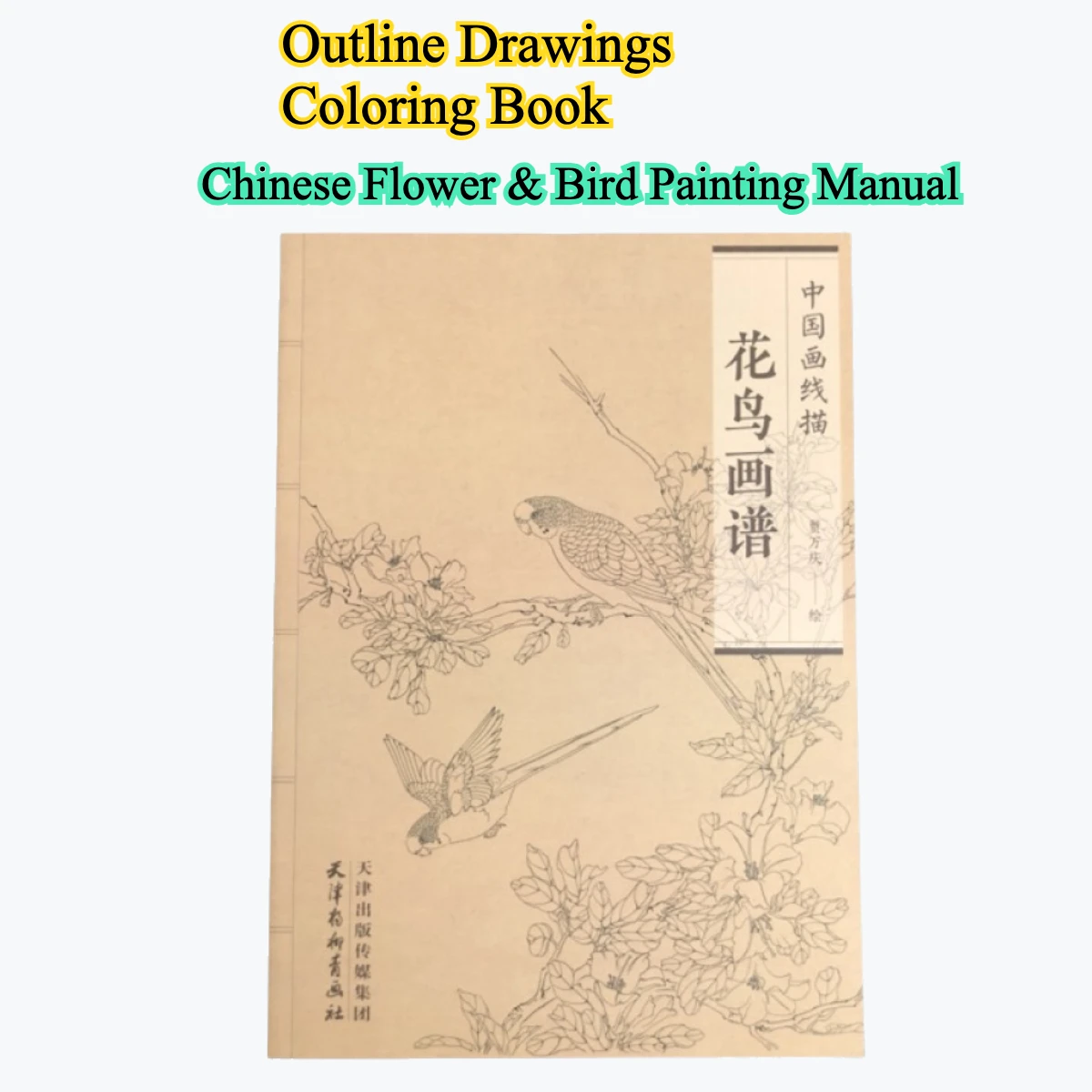 كتاب تلوين للبالغين والمراهقين يتميز بتصميمات سهلة وبسيطة لرسم الرسم الصيني للاسترخاء