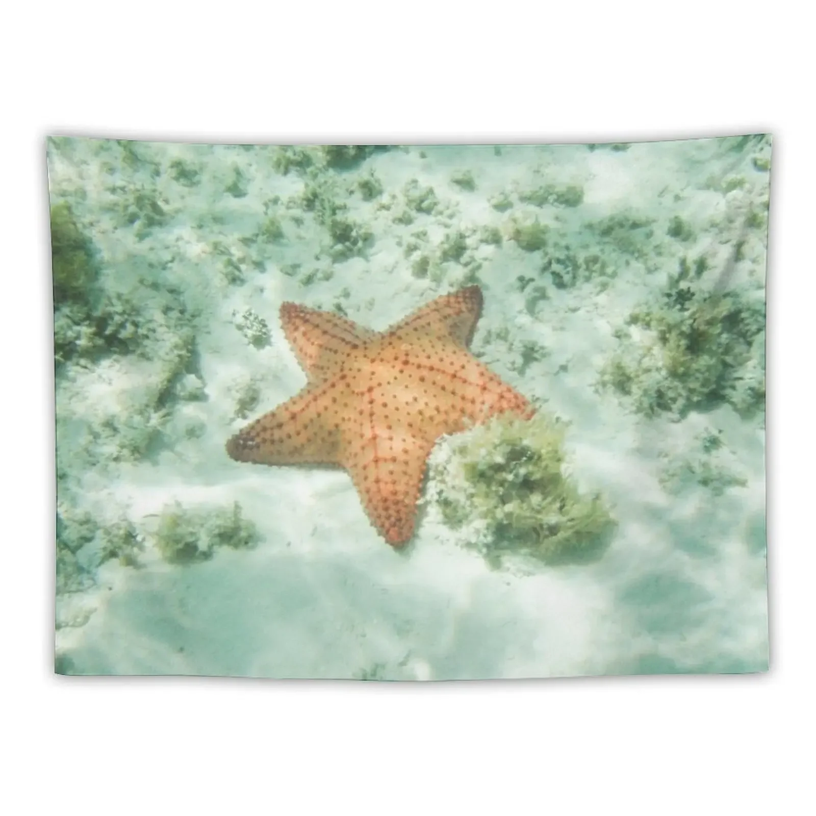 Starfish Under the Ocean Tapestry Kawaii Room Decor Wall Hanging Bedrooms Decor Tapestry