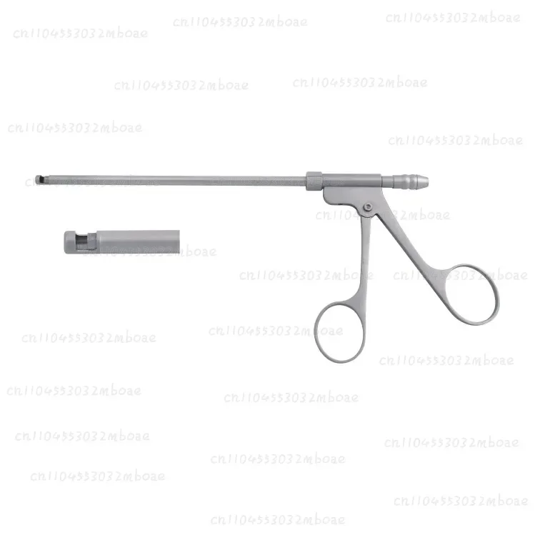 2025.4 Nasal Spheno…