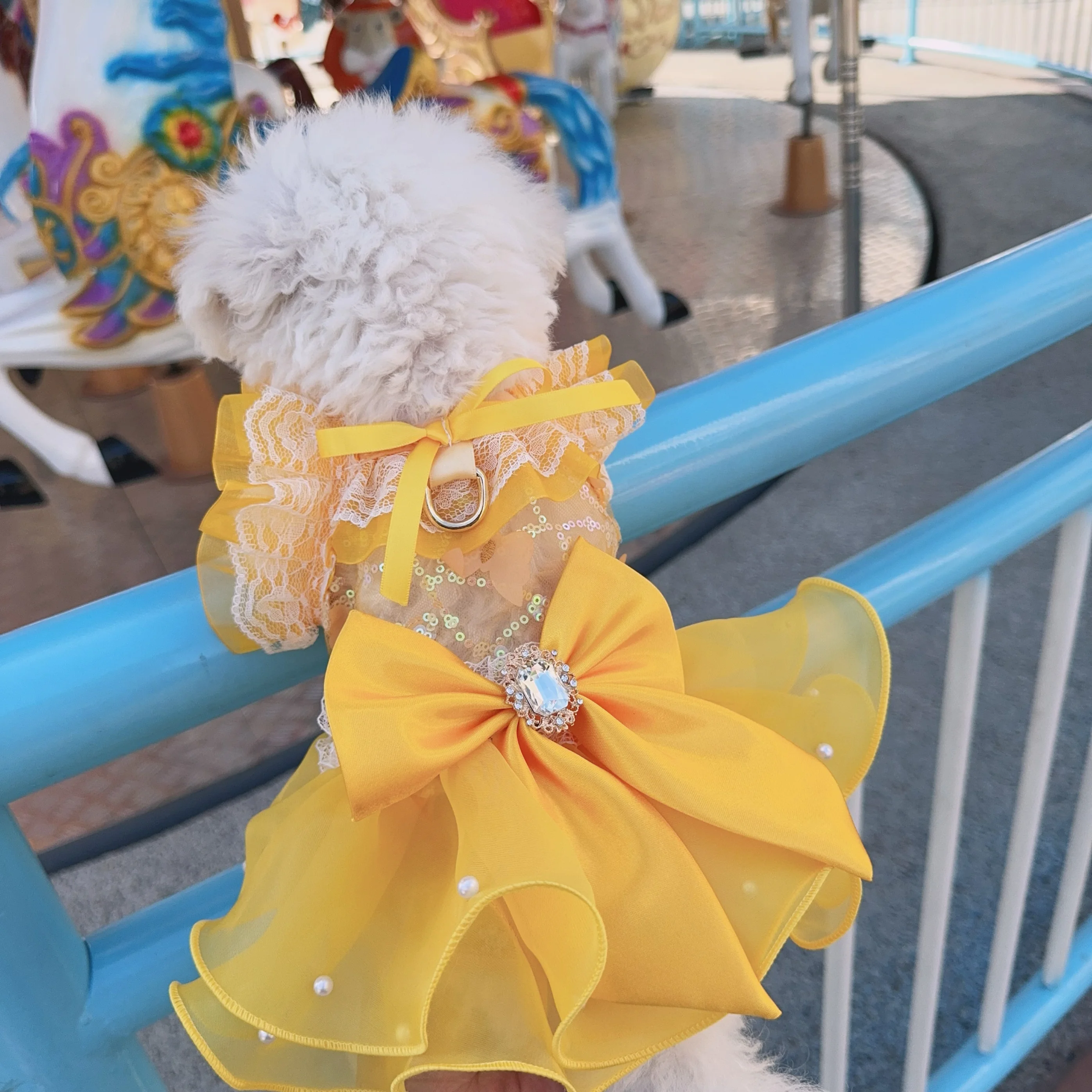 Pakaian Anak Anjing Kucing Gaun Tutu Renda Gambar Cetak Aster Kecil Kuning Baru Musim Panas untuk Anjing Kecil Menengah Pakaian Anjing Peliharaan Chihuahua