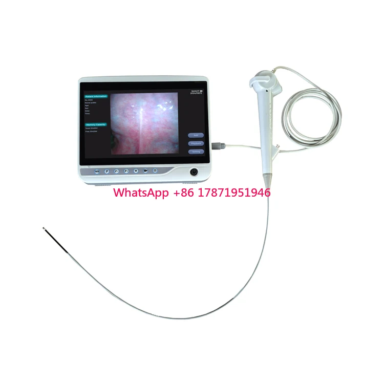 Low minimum order quantity Artificial Insemination Device Cow Visual Endoscope Sperm Gun Cattle Veterinary Breeding