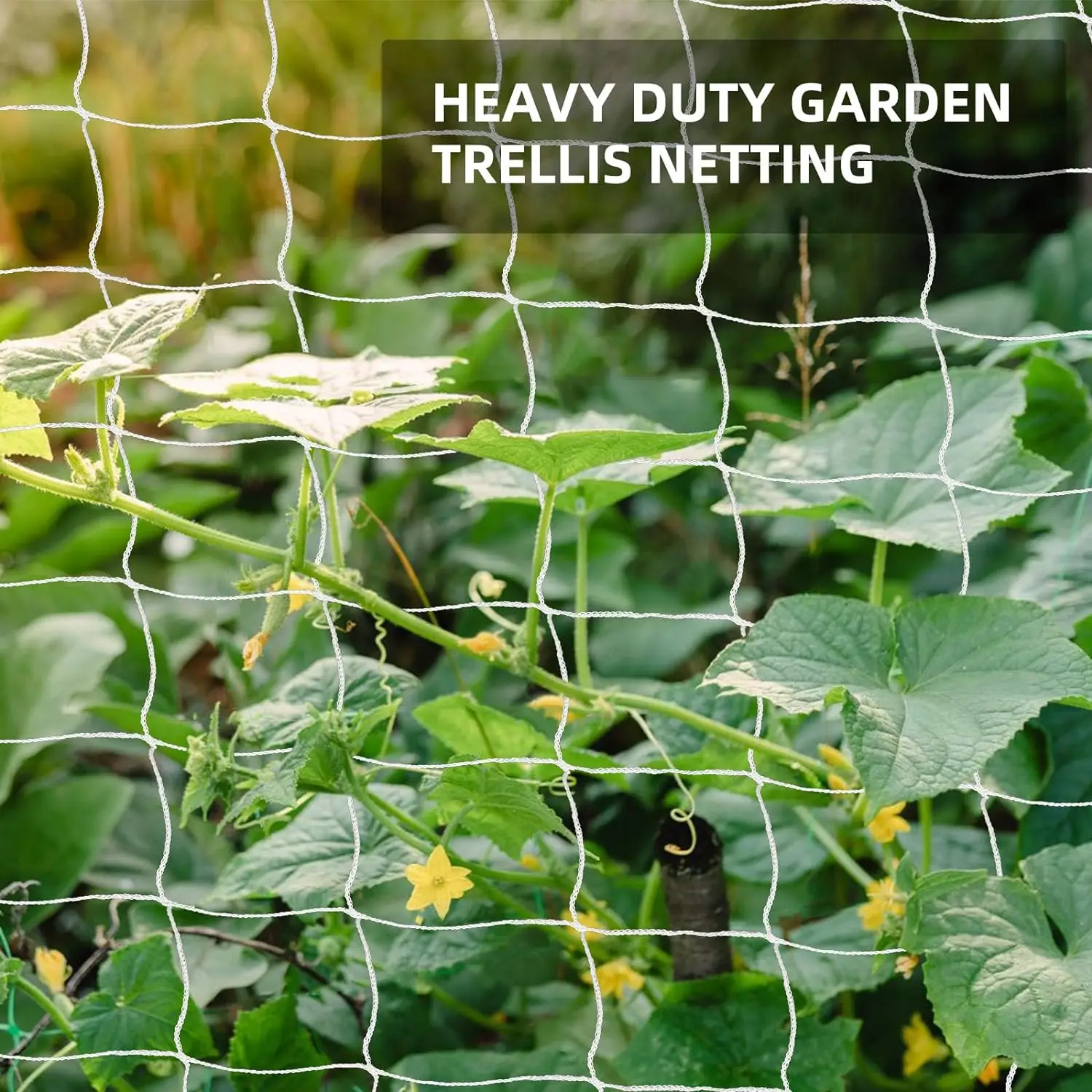 Garden Trellis Netting Outdoor Heavy Duty Nylon Climbing Netting net for Cucumber Tomato Fruits Vegetables Grow Holder Brackets