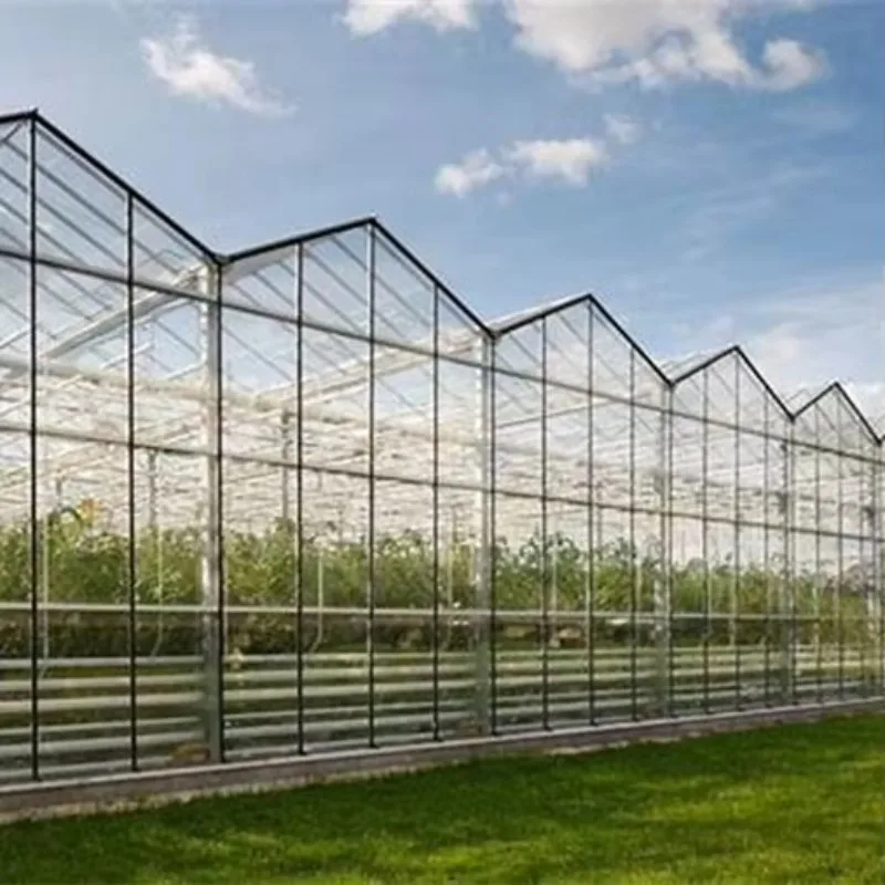 إطار معدني تجاري كبير متعدد المسحات للزراعة الدفيئة لنظام زراعة الزراعة المائية الدفيئة ذات اللون الأخضر #5