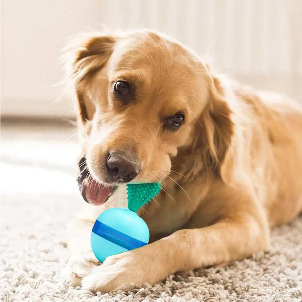 

Interactive Dog chew Toy,Textured Cactus shape,cat and dog teeth cleaning supplies,durable,Boredom Relief