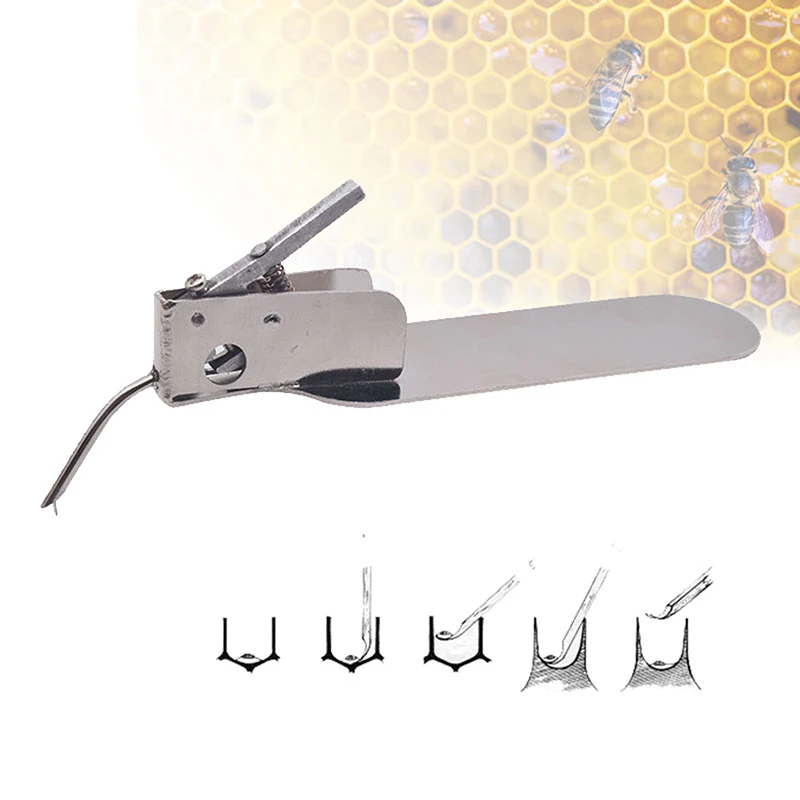 Stainless Steel Beekeeping Queen Rearing Worm Moving Transferring Needle Master Grafting Tool with Spare Tongue