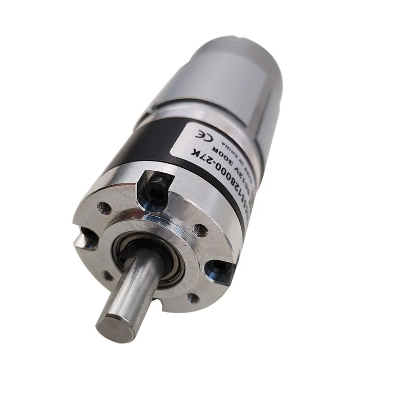 PG36-RS555 12V24V Planetary Gear DC Motor Low-Noise 555 ultra-high Torque 36mm Brushed Shaft Diameter 8mm Gear Motor