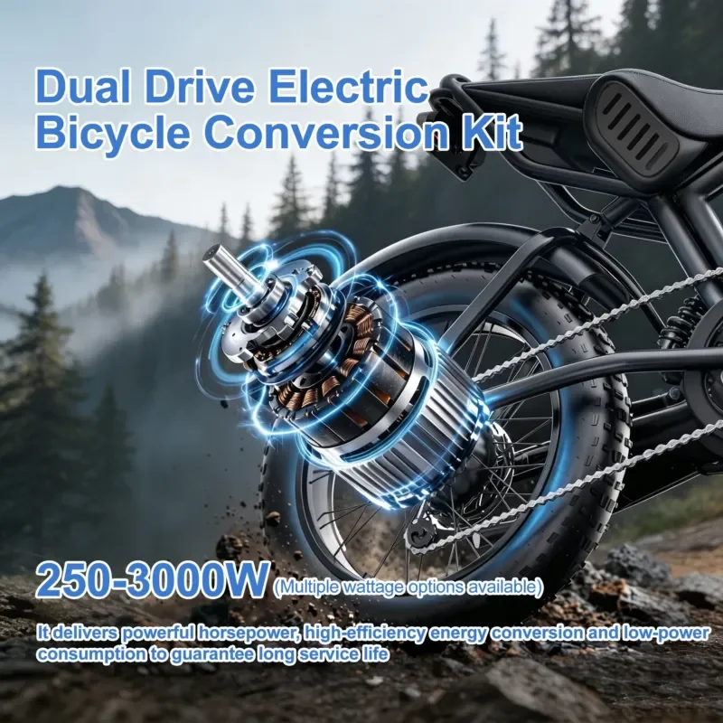 250W-3000W Fat Tire Electric Bike Conversion Kit 26x4.0 24x4.0 20x4.0 Dual Drive Ebike Kit for Snow Beach Bicycle