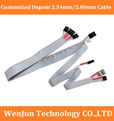 Customized Du pont 2.54mm 4pin 2pin with D upont 2.0mm Cable 200pcs/lot