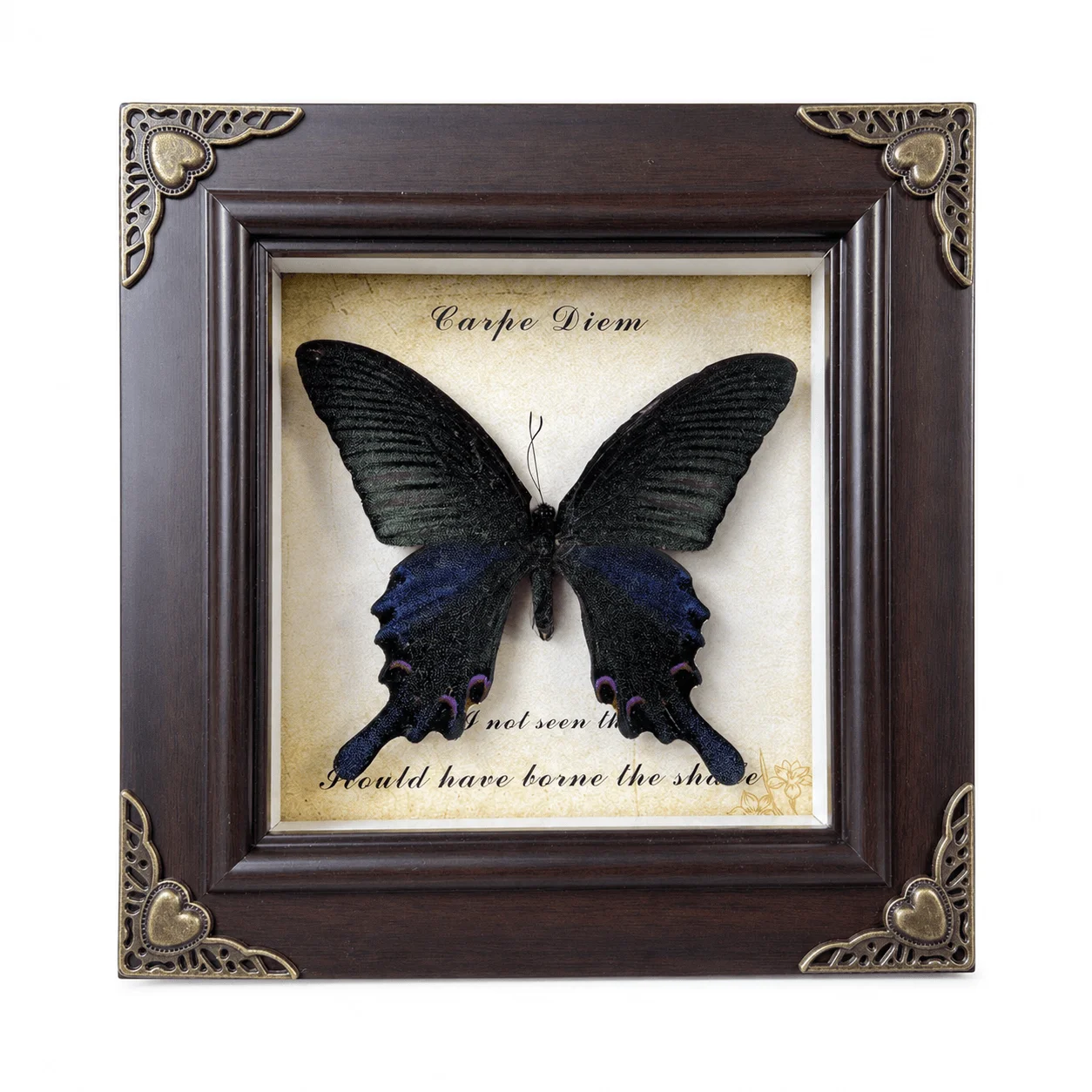 Real Butterfly Frame European-style Decorative Painting Wall Hanging Furniture Decoration Wall Hanging
