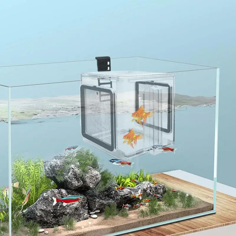 

Aquarium Breeder Box Hangable Aquarium Hatchery Tank Acrylic Divider Breeder Hatching Isolation Accessory For Freshwater Shrimp