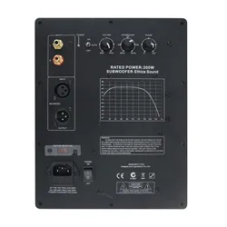 Wishcolor 200W Heavy Subwoofer Digital Active Power Amplifier Board Plate Amp Professional Theater Audiophile Subwoofer