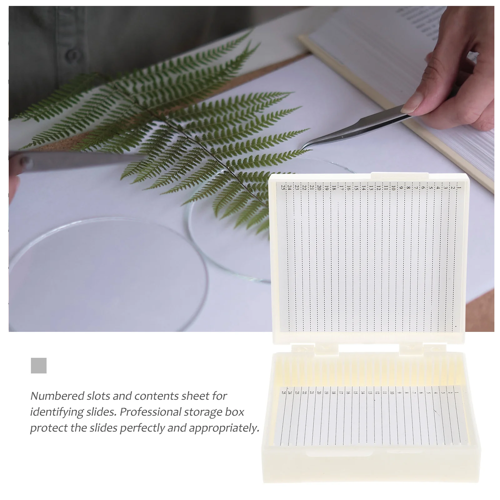 3pcs Specimen Slides Box Microscope Slide Storage Tray Laboratory Supply Glass Holder Educational Tool Slides Storage