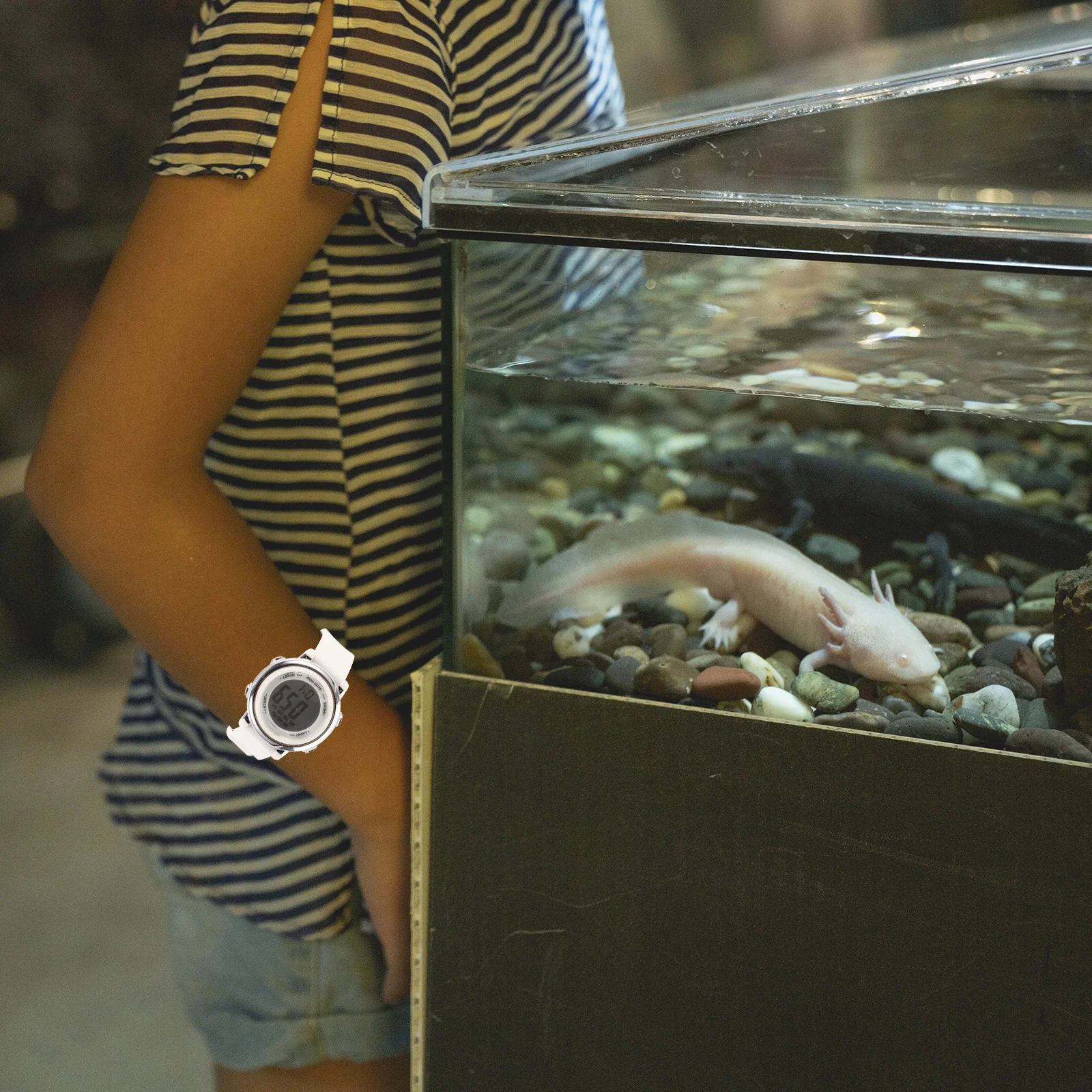 

Waterproof Digital Light Alarm Electronic Watch Birthday Gift for Durable Comfortable