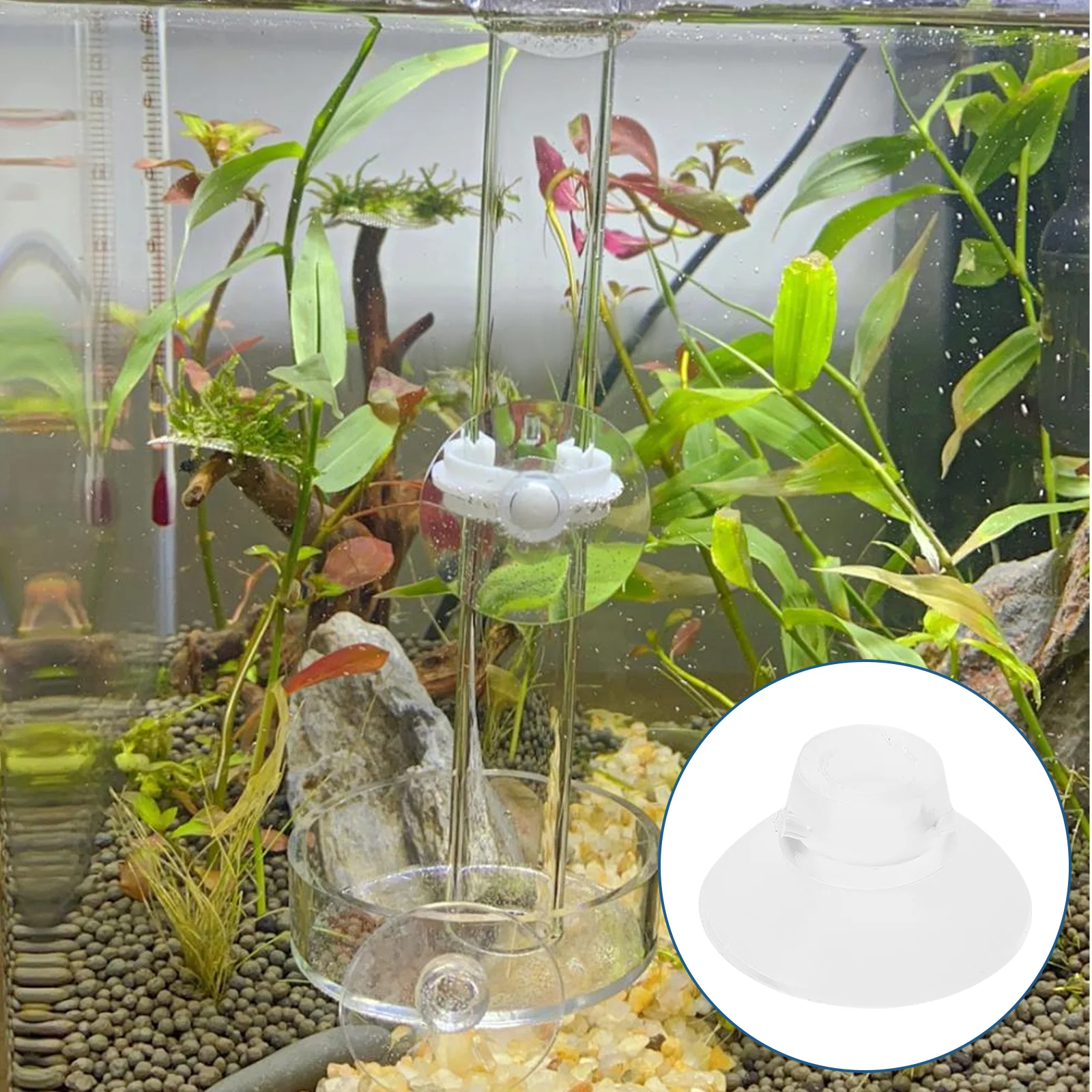 

50Pcs Aquarium Feeder Suction Cups Transparent Plastic Fish Tank Holder Reliable Suction Cup for Aquarium Feeder Securing