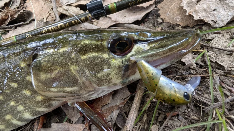 Kingdom 2-teiliger Minnow-Köder, 2,3 g, 37 mm, schwimmender S-förmiger harter Wobble-Topwater-Swimbaits, künstlicher Köder zum Forellen-Barschangeln – Detail 6